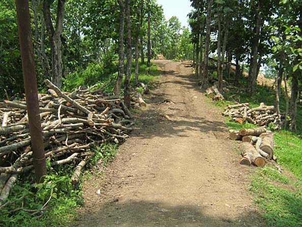 Upper approach road