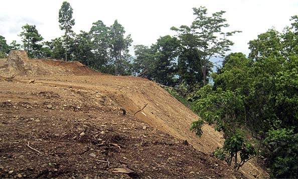 Excavation Progress