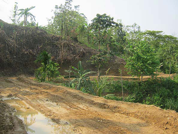 Approach road along eastern boundary