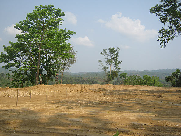 Stakes marking post layout