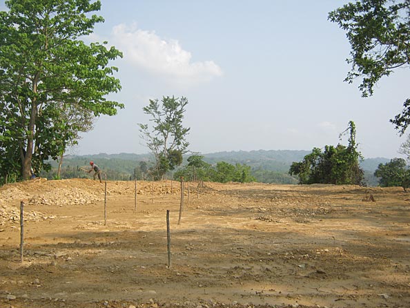 Stakes marking posts