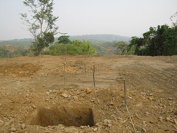 Postholes - facing south