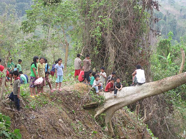 Kids on leaning tree.