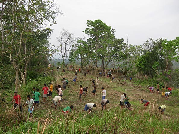 Clearing tall grasses.