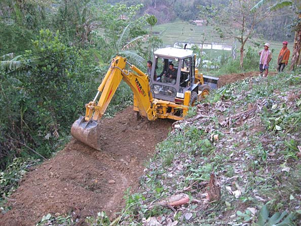 Cutting through fruit tree plantation